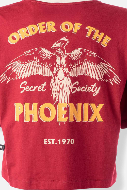 CAMISETA DE HARRY POTTER BOXY FIT PARA MUJER