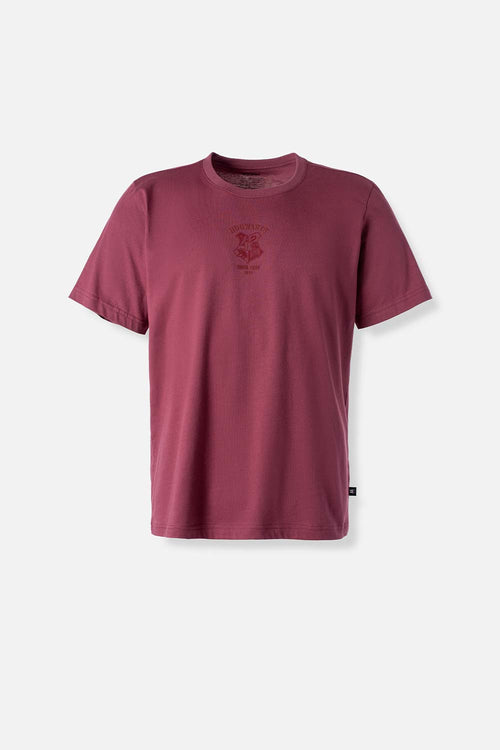 CAMISETA DE HARRY POTTER REGULAR FIT PARA HOMBRE