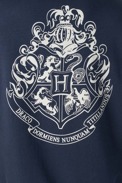 BUZO DE HARRY POTTER CERRADO MULTICOLOR PARA HOMBRE