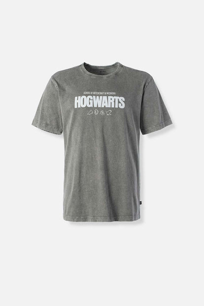 CAMISETA DE HARRY POTTER GRIS REGULAR FIT PARA HOMBRE