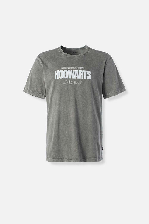 CAMISETA DE HARRY POTTER GRIS REGULAR FIT PARA HOMBRE