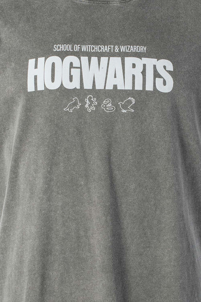 CAMISETA DE HARRY POTTER GRIS REGULAR FIT PARA HOMBRE