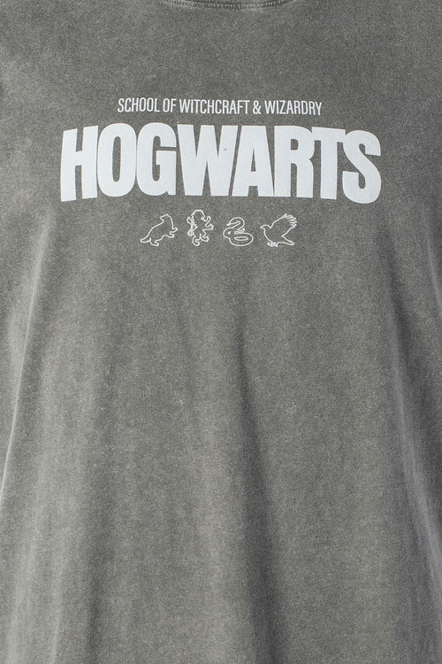 CAMISETA DE HARRY POTTER GRIS REGULAR FIT PARA HOMBRE