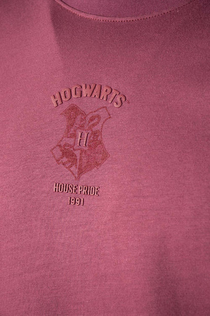 CAMISETA DE HARRY POTTER RELAX FIT PARA HOMBRE